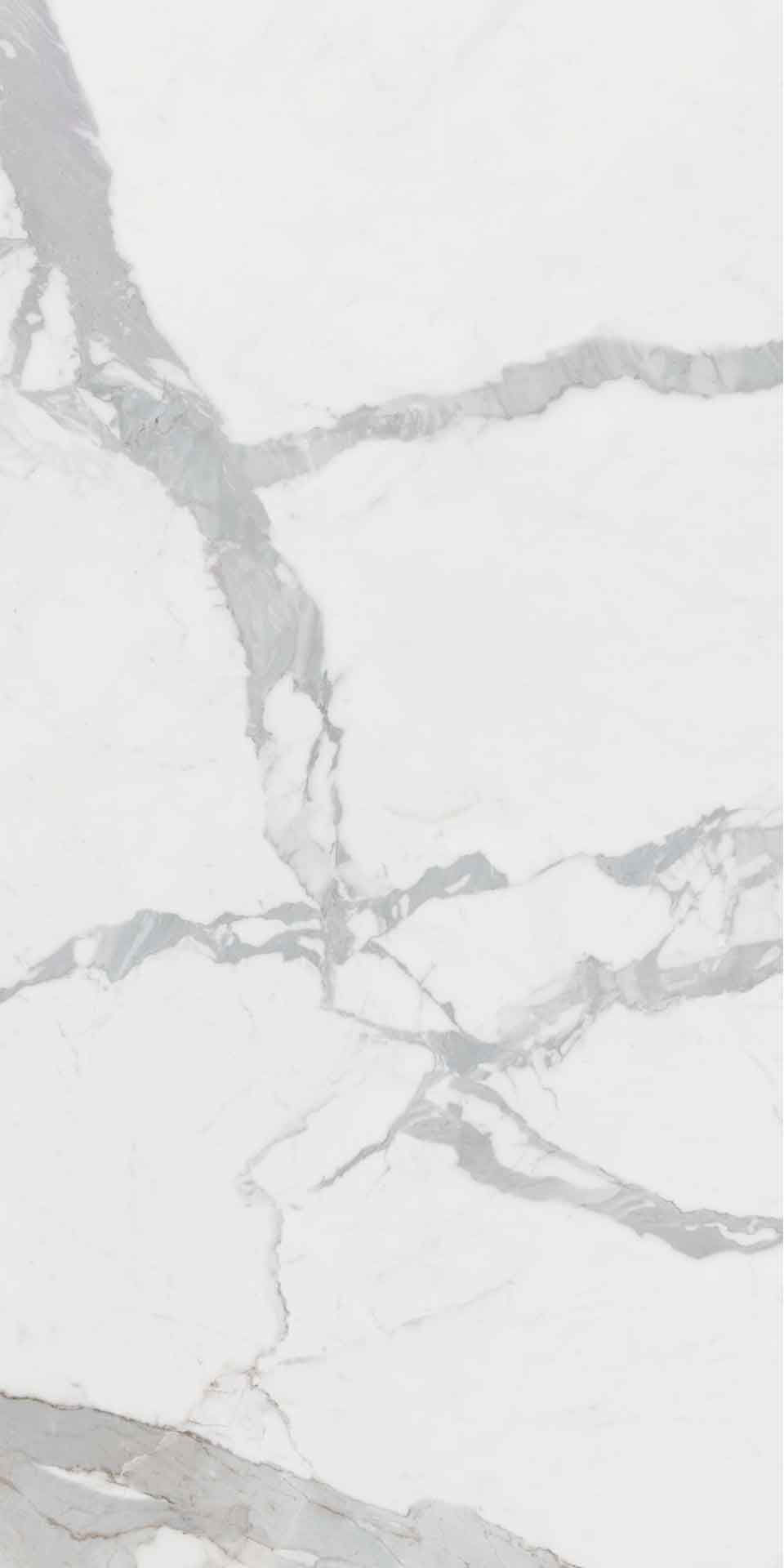 fortuna-zingara-slabs-120x260-calacatta-extra-white