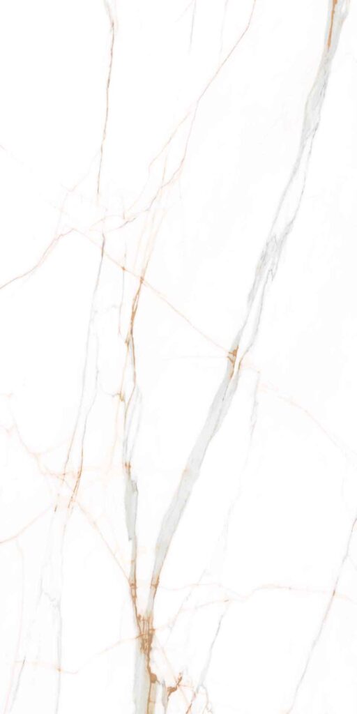 fortuna-zingara-slabs-120x270-FS63M076-CY06XB